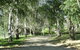 Aurum Vineyard Stay - thumb 3