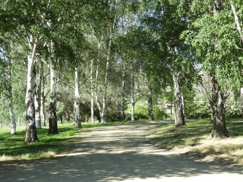 Aurum Vineyard Stay - Accommodation New Zealand 3