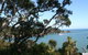 Awesome View Cottage - thumb 1