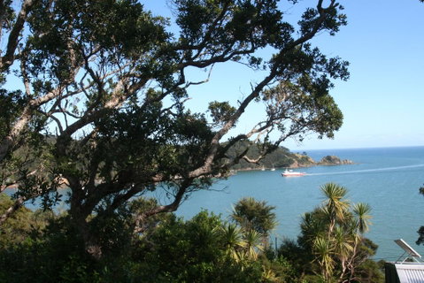 Awesome View Cottage - Accommodation New Zealand 1
