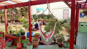 Bazil's Backpackers BBH Hostel  Surf School