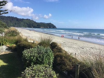 Beachfront Bed And Breakfast