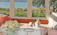 Beachfront Wellington Bed And Breakfast - thumb 3