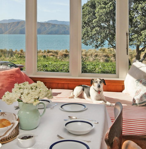 Beachfront Wellington Bed And Breakfast - Accommodation New Zealand 3