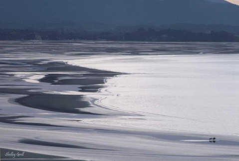 Beau Vista Pohara - Accommodation New Zealand 2