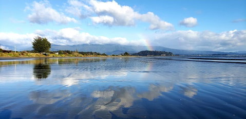 Beau Vista Pohara - Accommodation New Zealand 1