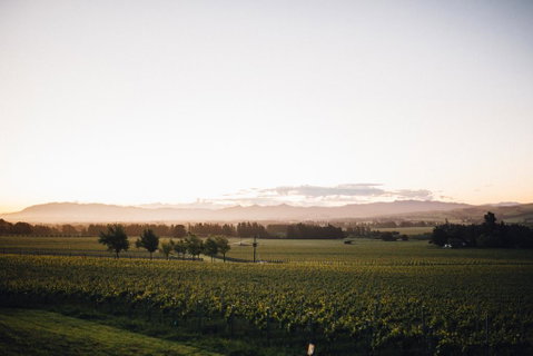 Black Estate B & B - Accommodation New Zealand 3