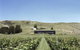 Black Estate B & B - thumb 2