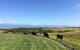 Black Swan Retreat - thumb 2
