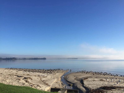 Black Swan Retreat