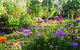 Blooming Delight Tauranga - thumb 0
