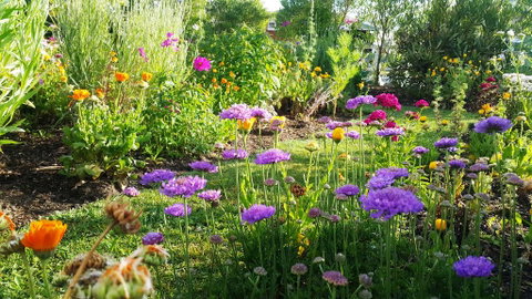 Blooming Delight Tauranga - Accommodation New Zealand 0
