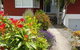 Blooming Delight Tauranga - thumb 3