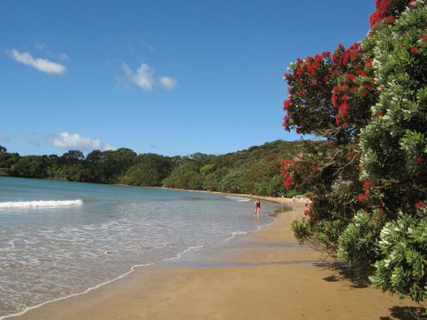 By The Bay Beachfront Apartments - Accommodation New Zealand 2