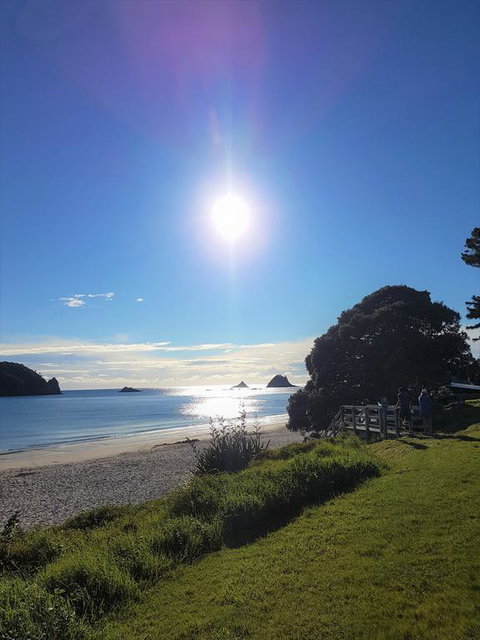 Cathedral Cove Connection - Accommodation New Zealand 3