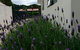 Coromandel Apartments - thumb 1