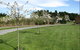 Cricklewood House Bed & Breakfast - thumb 3