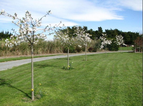 Cricklewood House Bed & Breakfast - Accommodation New Zealand 3