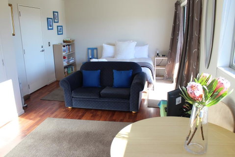 D'Archiac Studio - Accommodation New Zealand 3