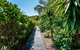 Delamore Cove - Nikau / You've Got It Maid - thumb 3