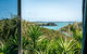 Delamore Cove - Nikau / You've Got It Maid - thumb 0
