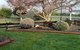 Denchys B&B - thumb 2