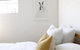 Designer 2 Bedroom Apartment In Heart Of Ponsonby - thumb 2