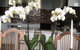 Executive Style Bedrooms - thumb 2