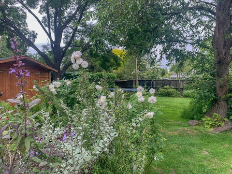 Family Home Perfection! - Accommodation New Zealand 1