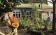 Fat Cat Backpackers Community - thumb 0