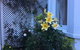 Glen Almond House - thumb 1