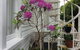 Glen Almond House - thumb 3