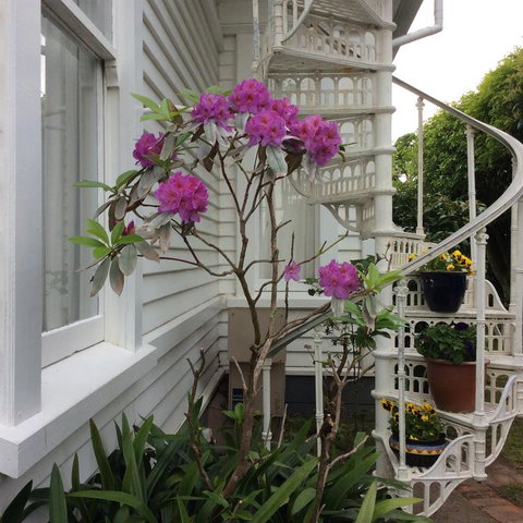Glen Almond House - Accommodation New Zealand 3
