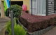 Golden Leaf Apartments - thumb 1