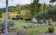 Grant And Sue's Alpacas - thumb 1