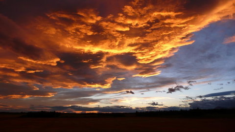 Gunyah Country Estate - Accommodation New Zealand 3