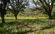 Hare's Rest - thumb 3