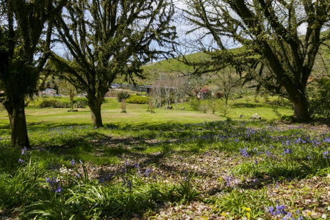 Hare's Rest - Accommodation New Zealand 3