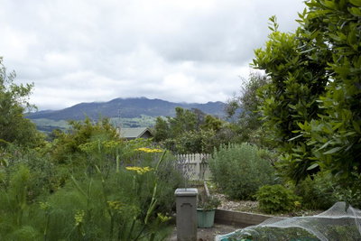 Highgate Bed And Breakfast