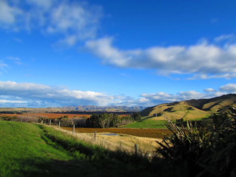 Hill Top Retreat - Accommodation New Zealand 0