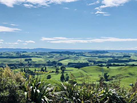 Hilltop Views Countrystay - Accommodation New Zealand 1
