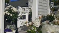 Historic Colenso Cottage