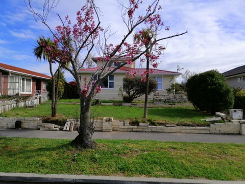 Homestay Family Room, Near The City Center, Clean & Tidy !!!! - Accommodation New Zealand 2