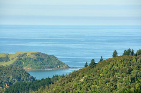 Hopewell B&B - Accommodation New Zealand 2