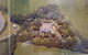 Hunua Accommodation - Larger Groups - thumb 3