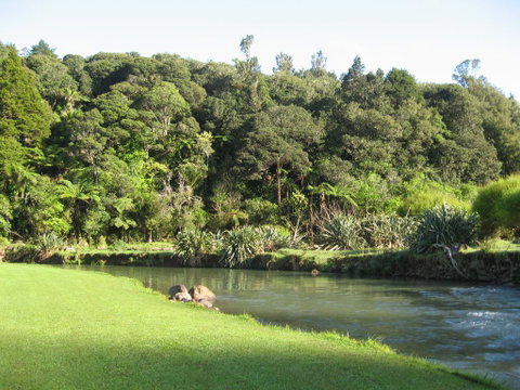 Kauri Coast TOP 10 Holiday Park - Accommodation New Zealand 0