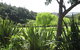 Kauri Coast TOP 10 Holiday Park - thumb 3
