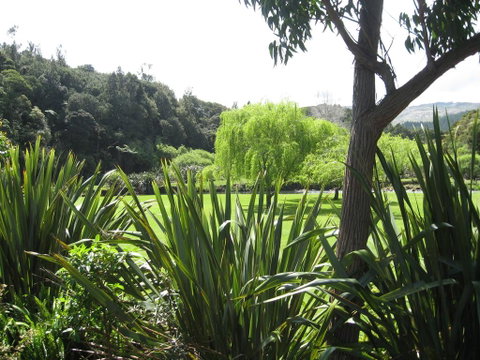 Kauri Coast TOP 10 Holiday Park - Accommodation New Zealand 3