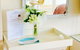 Kohimarama Guest Suite - thumb 3