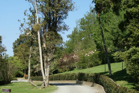 Kourawhero Mountain Lodge - Accommodation New Zealand 3